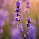 Kvapai: Kodėl tam tikri aromatai sukelia migreną